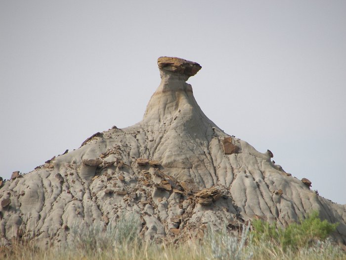 Kanada 2007 Dinopark (59)